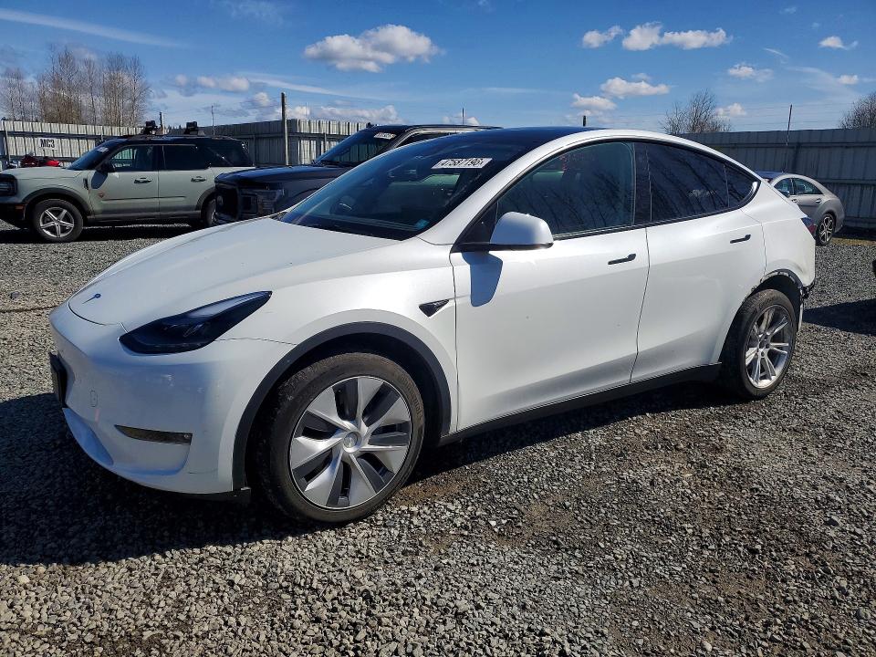 2023 TESLA MODEL Y — VIN 7SAYGDEEXPF628866