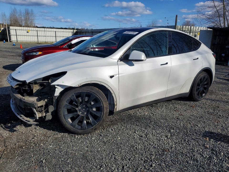 2021 TESLA MODEL Y — VIN 5YJYGAEE1MF203902