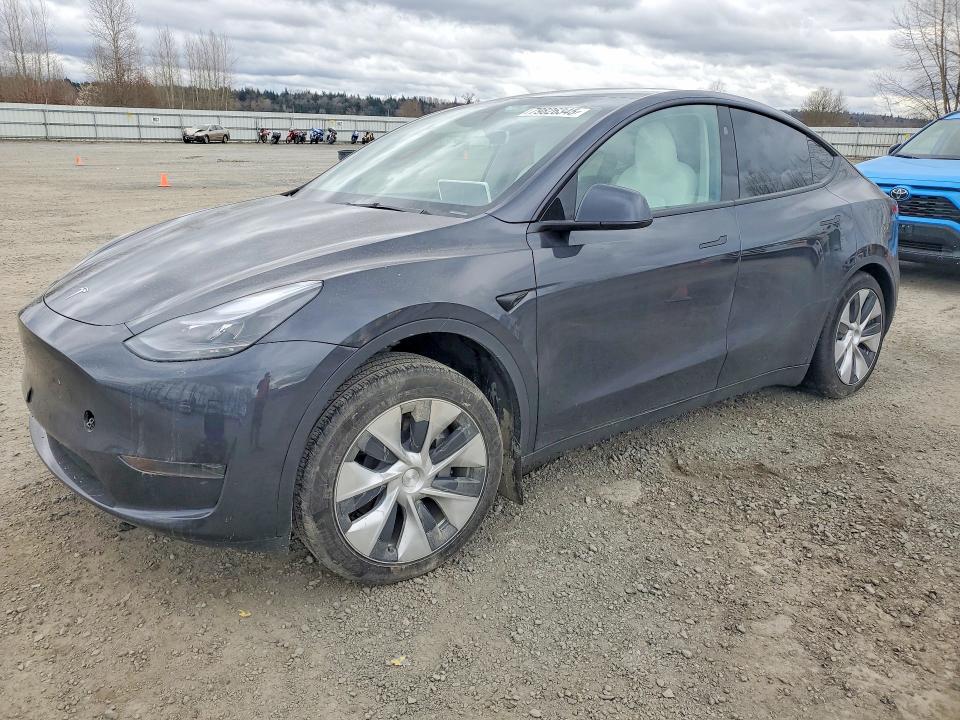 2024 TESLA MODEL Y — VIN 7SAYGDED9RF014983
