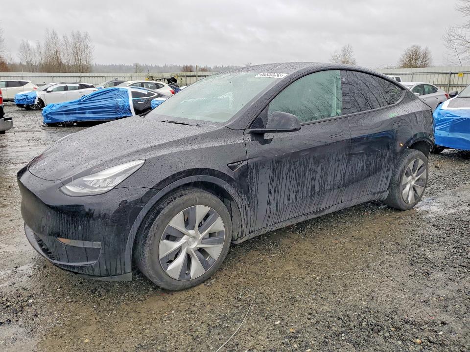 2020 TESLA MODEL Y — VIN 5YJYGDEE1LF026364