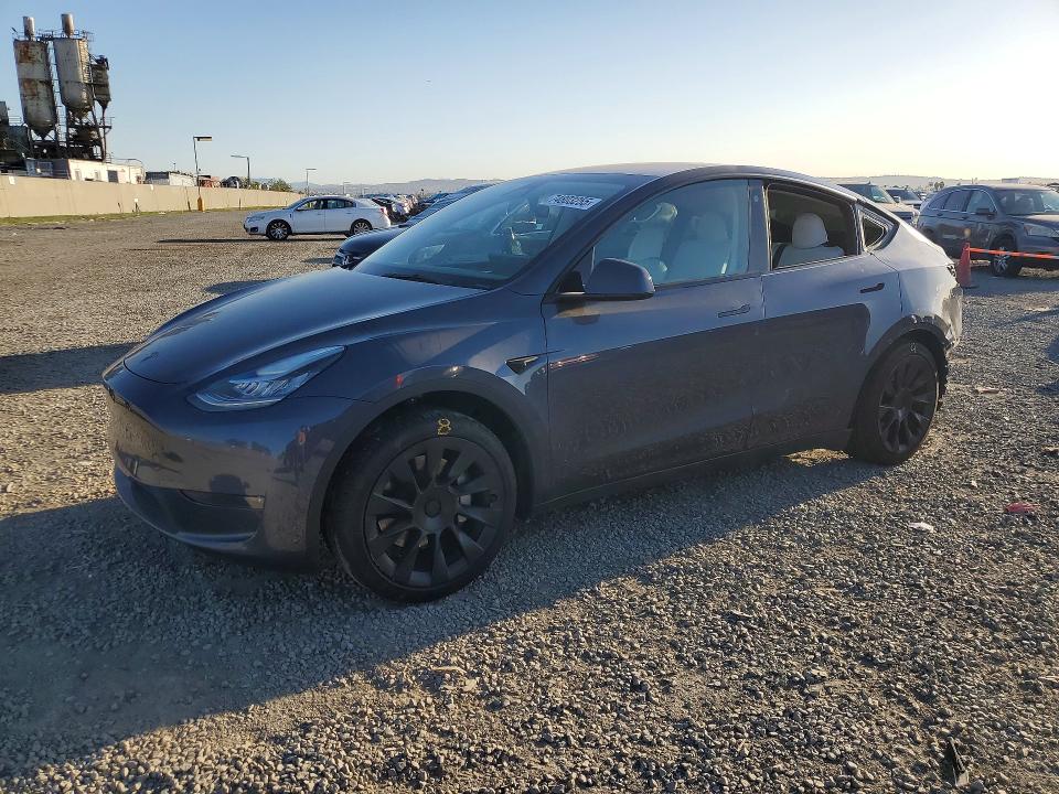 2023 TESLA MODEL Y — VIN 7SAYGDEE1PA076655
