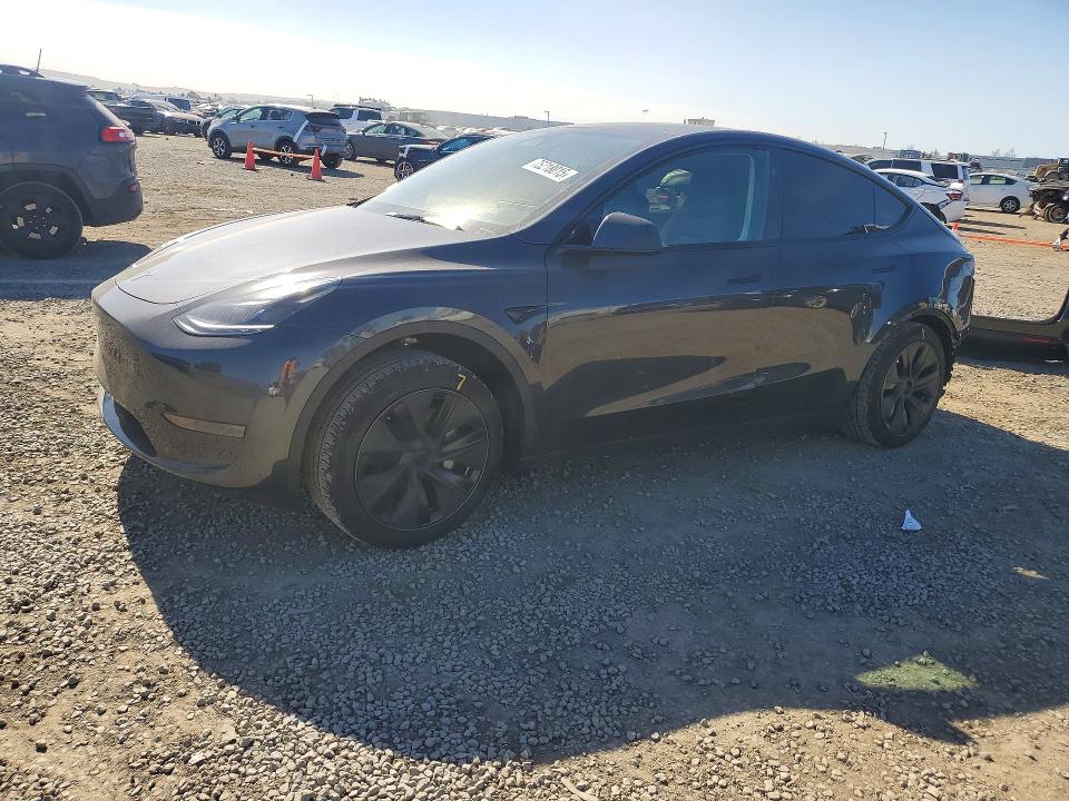 2025 TESLA MODEL Y — VIN 7SAYGDED1SF317634