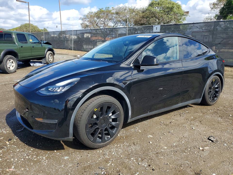 2020 TESLA MODEL Y — VIN 5YJYGDEE8LF018813