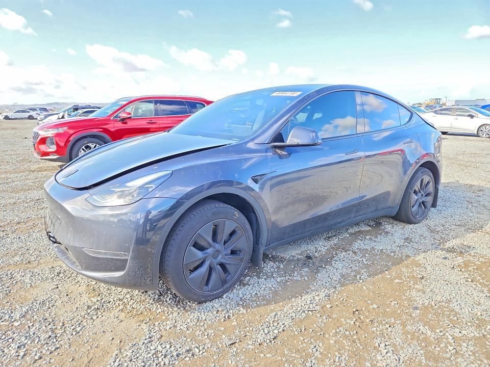 2024 TESLA MODEL Y — VIN 7SAYGDED9RF112248