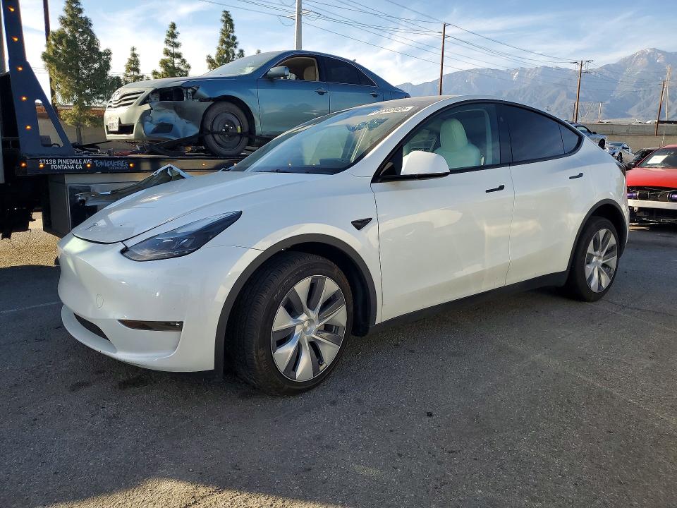 2024 TESLA MODEL Y — VIN 7SAYGDEE6RF073773