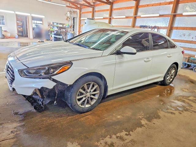 2019 HYUNDAI SONATA — VIN 5NPE24AF9KH813949