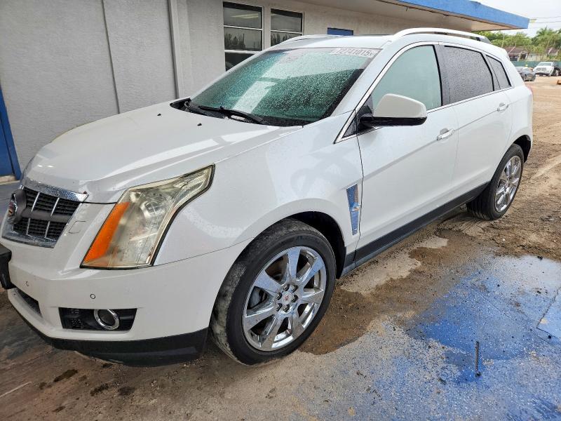 2012 CADILLAC SRX PREMIU — VIN 3GYFNFE38CS648257