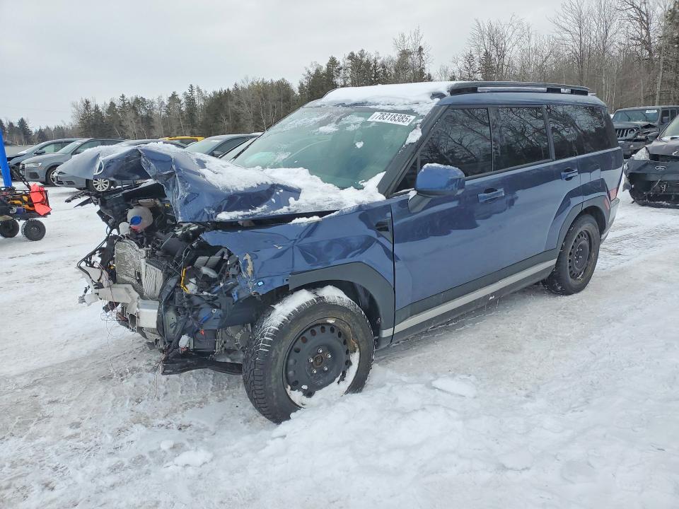 2025 HYUNDAI SANTA FE — VIN 5NMP4DGL3SH135843