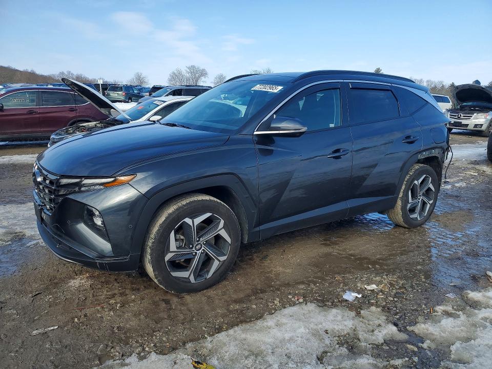 2023 HYUNDAI TUCSON — VIN 5NMJECAE7PH280267