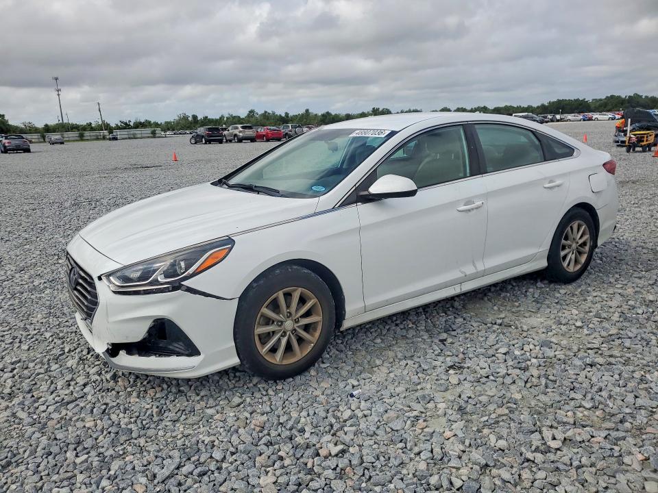 2019 HYUNDAI SONATA — VIN 5NPE24AF7KH732481