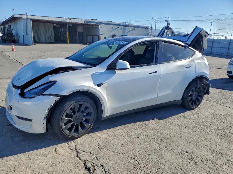 2023 TESLA MODEL Y — VIN 7SAYGDEE5PF747439