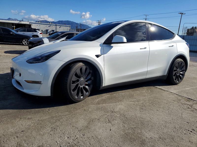 2023 TESLA MODEL Y — VIN 7SAYGDEF3PF784465