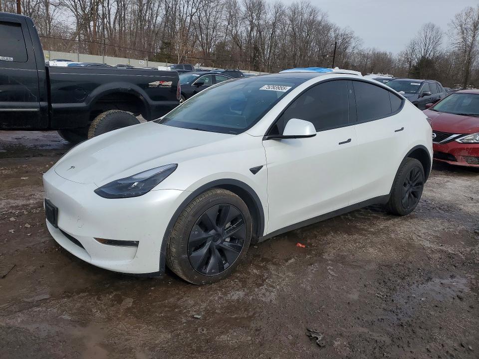 2025 TESLA MODEL Y — VIN 7SAYGDEE3SF306417