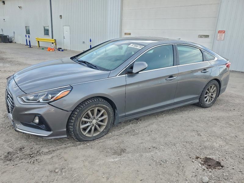 5NPE24AF0KH741118