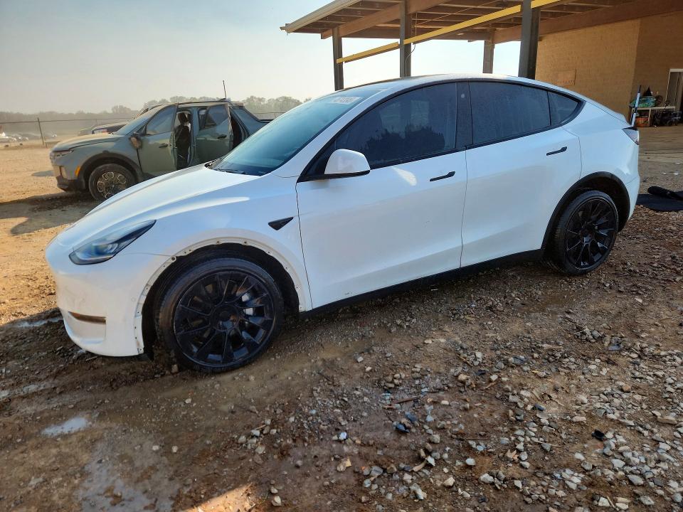 2020 TESLA MODEL Y — VIN 5YJYGDEE4LF041859