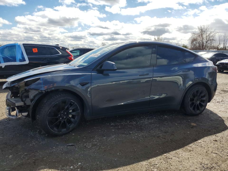 2023 TESLA MODEL Y — VIN 7SAYGDEE4PF584959