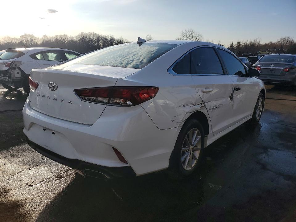 5NPE24AF6KH733766