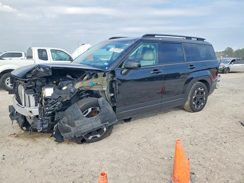 2024 HYUNDAI SANTA FE — VIN 5NMP2DGL2RH008596