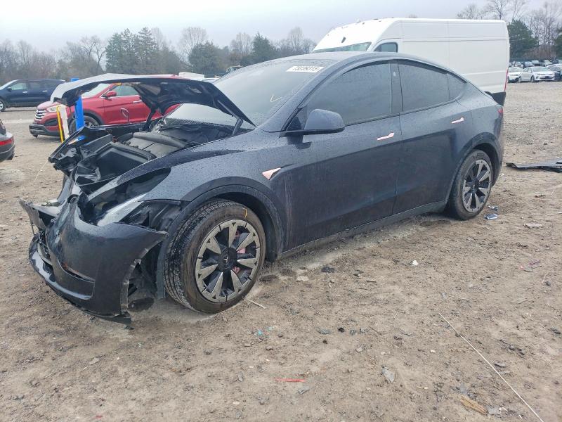 2024 TESLA MODEL Y — VIN 7SAYGAEE8RF050039