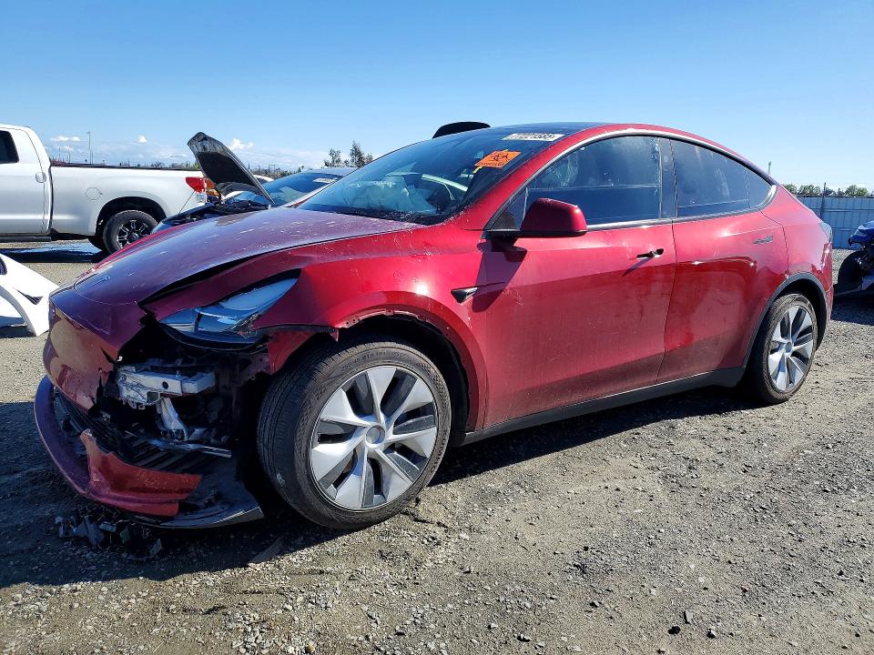 2024 TESLA MODEL Y — VIN 7SAYGAEE2RF066625