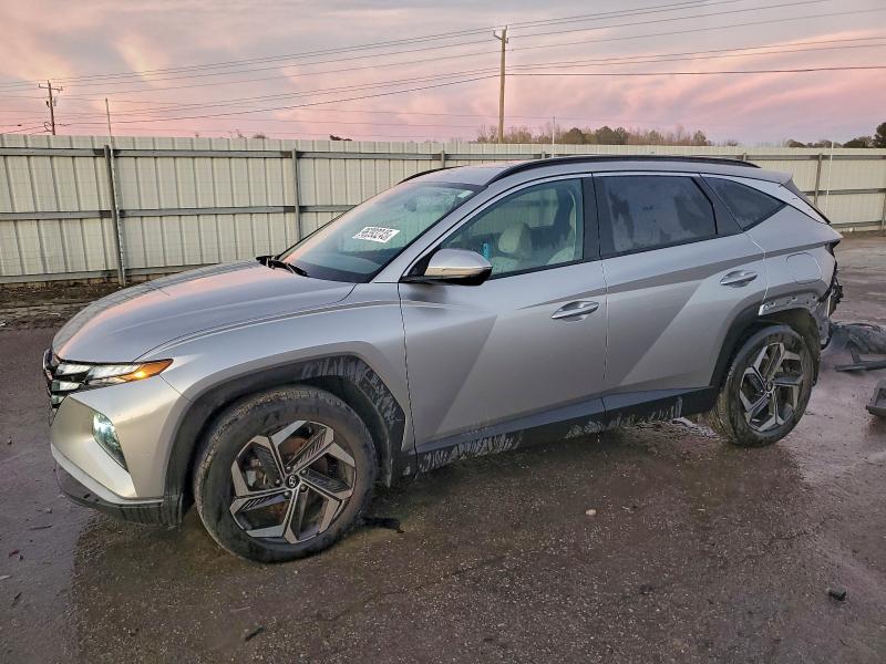 2024 HYUNDAI TUCSON — VIN 5NMJF3DE9RH310493