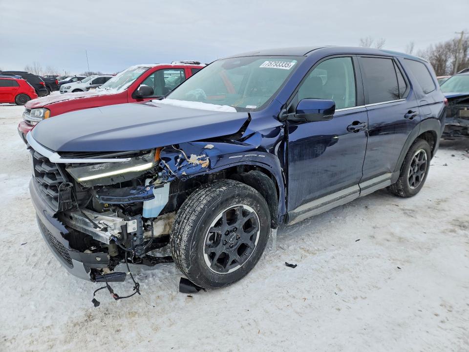 2025 HONDA PILOT EXL — VIN 5FNYG1H49SB075215