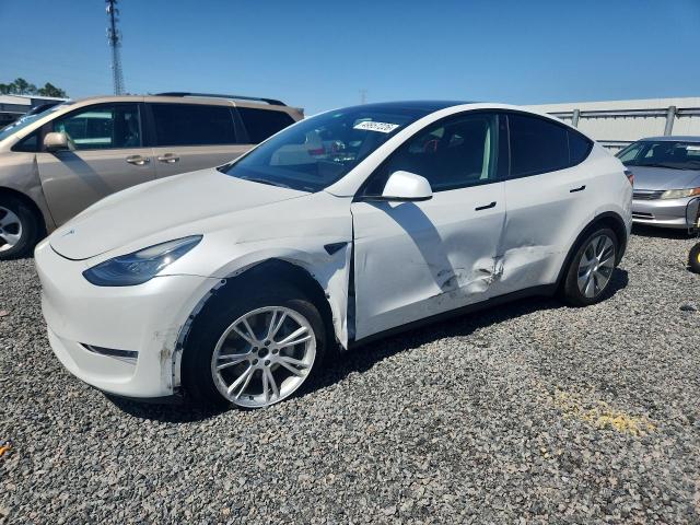 2021 TESLA MODEL Y — VIN 5YJYGDEE6MF260050