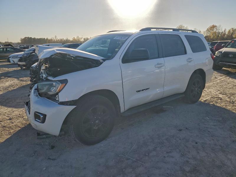 2019 TOYOTA SEQUOIA — VIN 5TDZY5G12KS073172