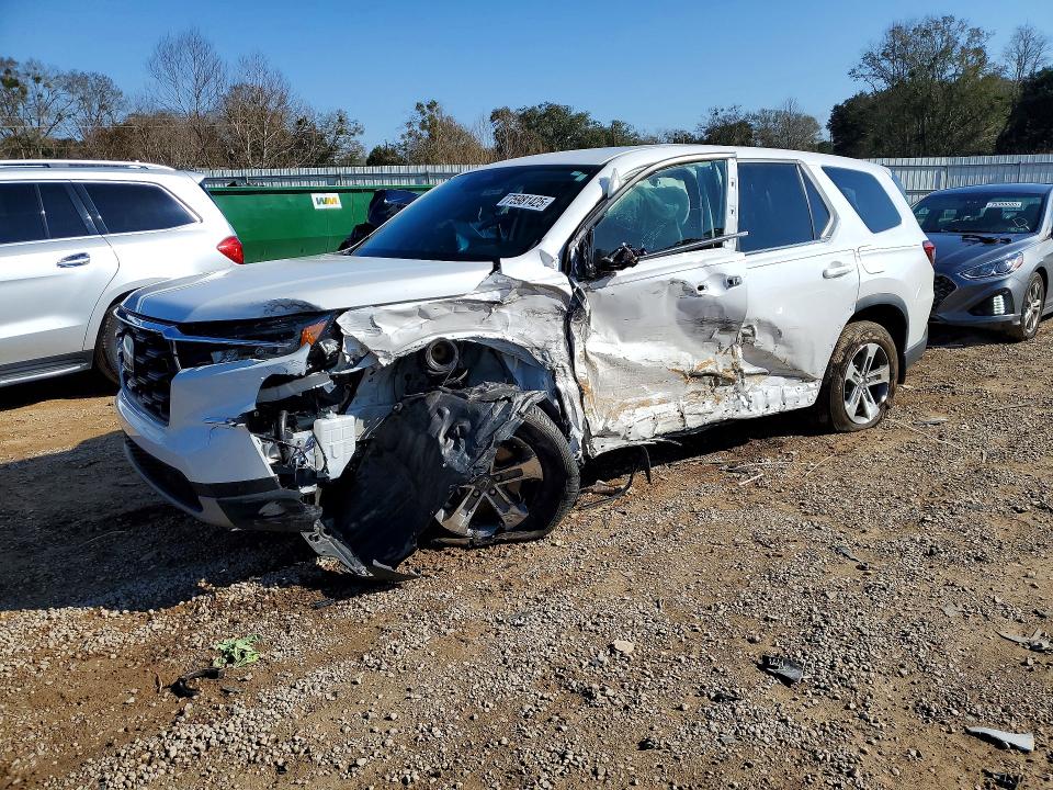 2024 HONDA PILOT EXL — VIN 5FNYG2H48RB010825