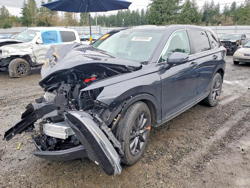 2026 HONDA CR-V — VIN 2HKRS4H77TH443442