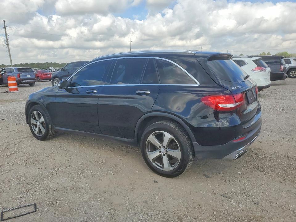 WDC0G4JBXGF111367