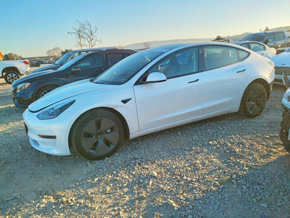 2023 TESLA MODEL 3 — VIN 5YJ3E1EA5PF541983
