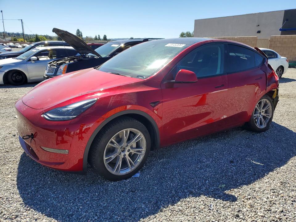 2024 TESLA MODEL Y — VIN 7SAYGDEE1RA253434