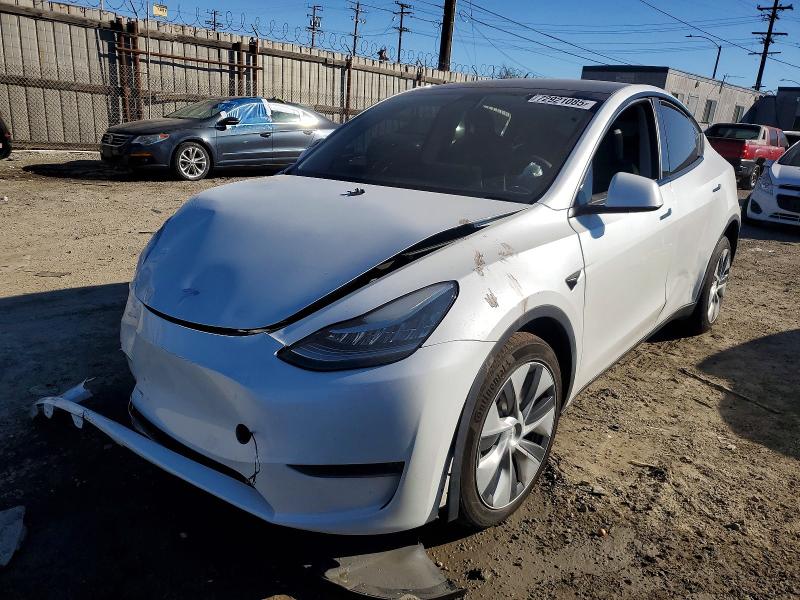 2023 TESLA MODEL Y — VIN 7SAYGDEE0PA069812