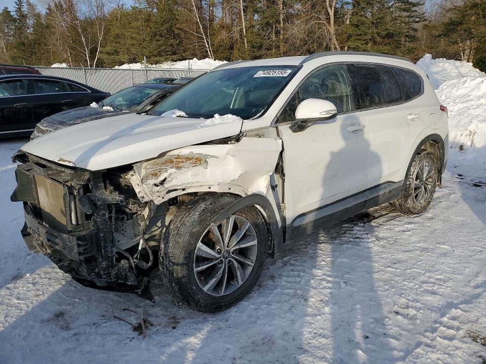 2019 HYUNDAI SANTA FE — VIN 5NMS3CAD6KH100805