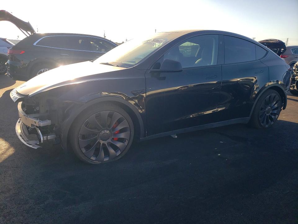 2024 TESLA MODEL Y — VIN 7SAYGDEF4RF054079