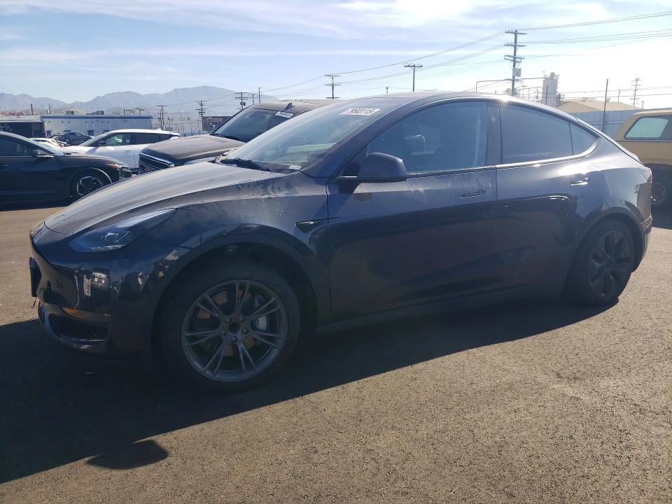 2024 TESLA MODEL Y — VIN 7SAYGDED1RF205538