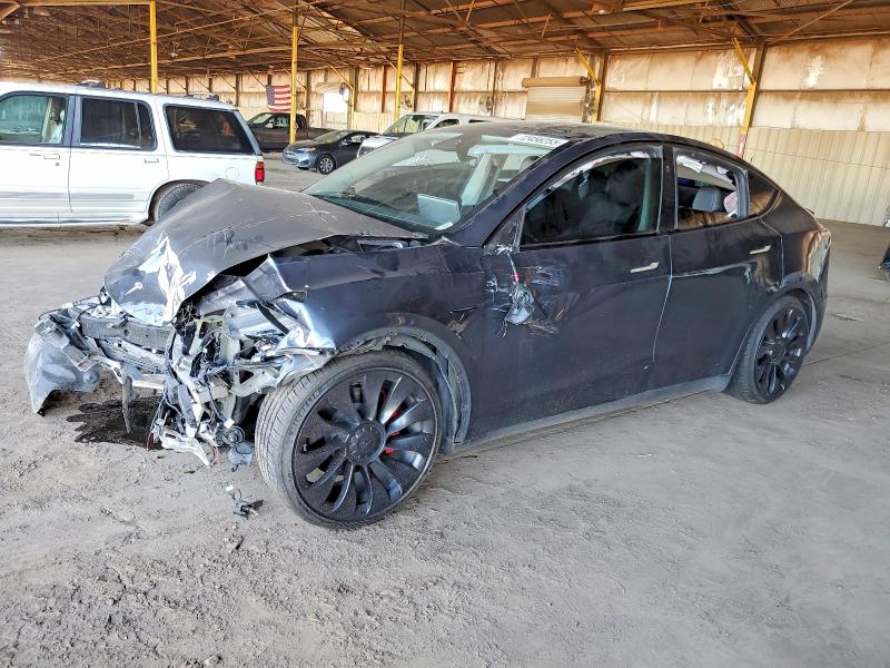 2023 TESLA MODEL Y — VIN 7SAYGDEF3PF899941
