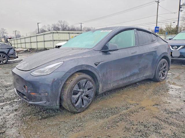 2024 TESLA MODEL Y — VIN 7SAYGDEE6RF179981
