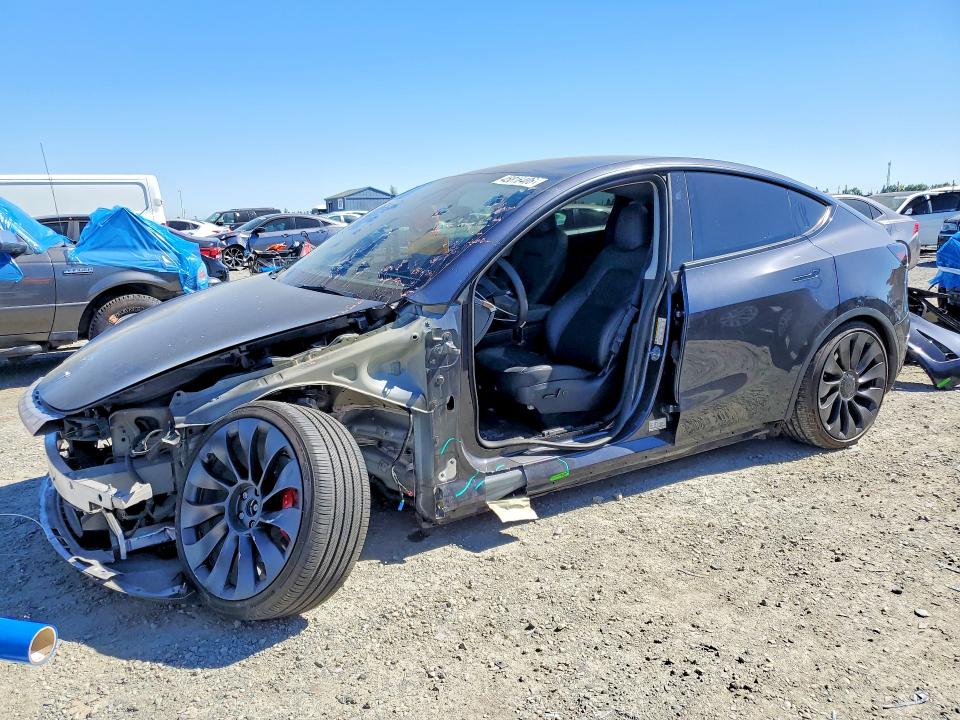 2024 TESLA MODEL Y — VIN 7SAYGDEF7RF073273
