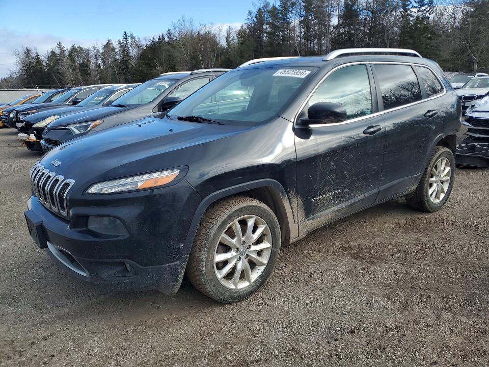 2016 JEEP CHEROKEE — VIN 1C4PJLDB5GW294060