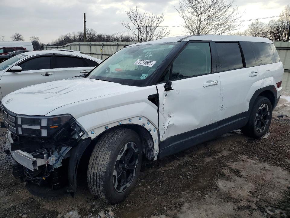 2024 HYUNDAI SANTA FE — VIN 5NMP1DGLXRH002421