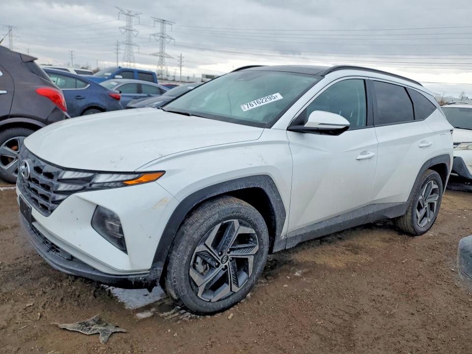 2024 HYUNDAI TUCSON — VIN KM8JCCD18RU220911