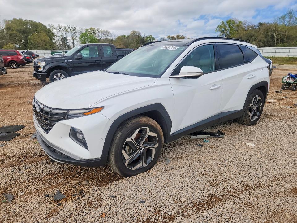 2023 HYUNDAI TUCSON — VIN 5NMJECAE9PH211564