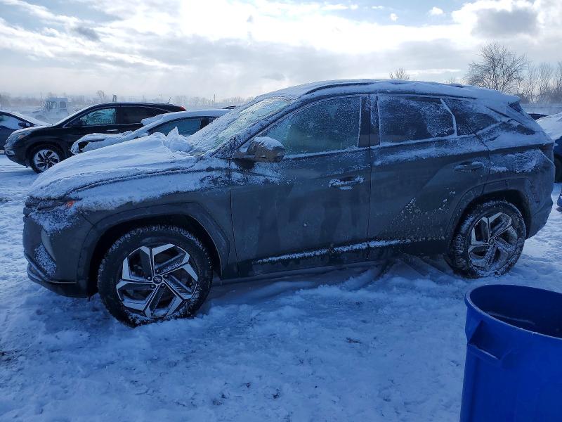 2023 HYUNDAI TUCSON — VIN KM8JCCA11PU096336