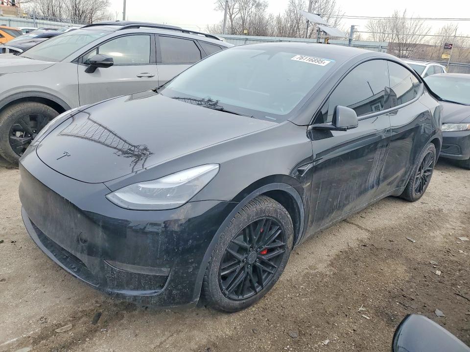 2023 TESLA MODEL Y — VIN 7SAYGDEF6PF961915