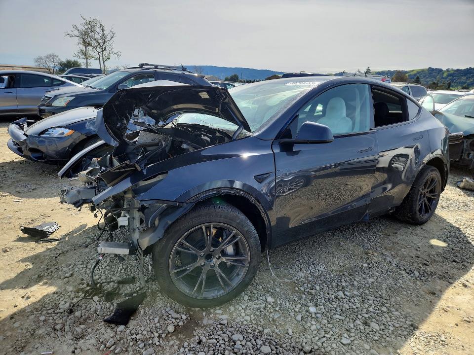 2025 TESLA MODEL Y — VIN 7SAYGDED8SF262924
