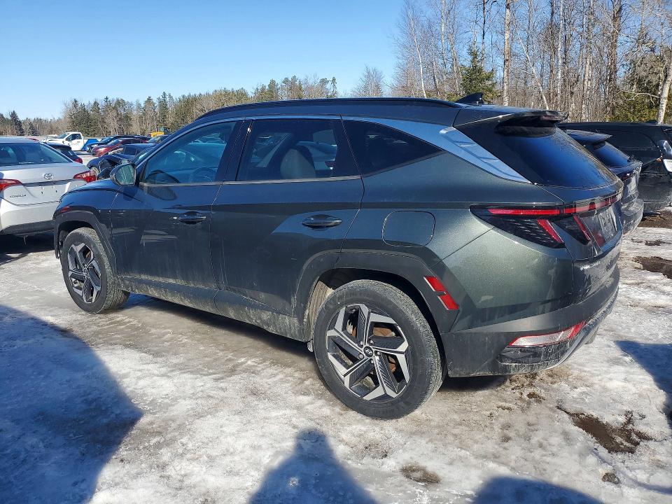 KM8JCCA19NU029027