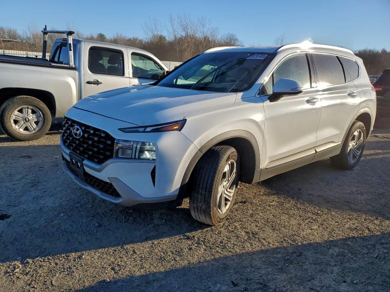 2023 HYUNDAI SANTA FE — VIN 5NMS2DAJ0PH589076