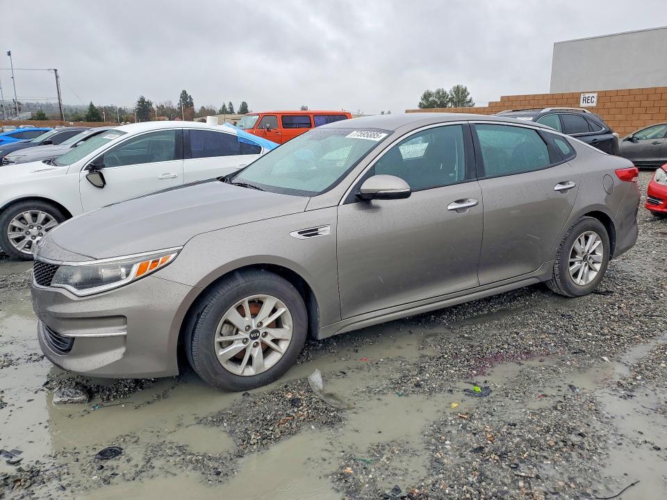 2016 KIA OPTIMA — VIN 5XXGT4L31GG116559